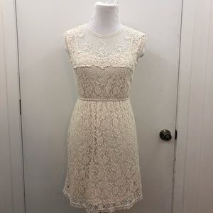 Beautiful Lace Dress